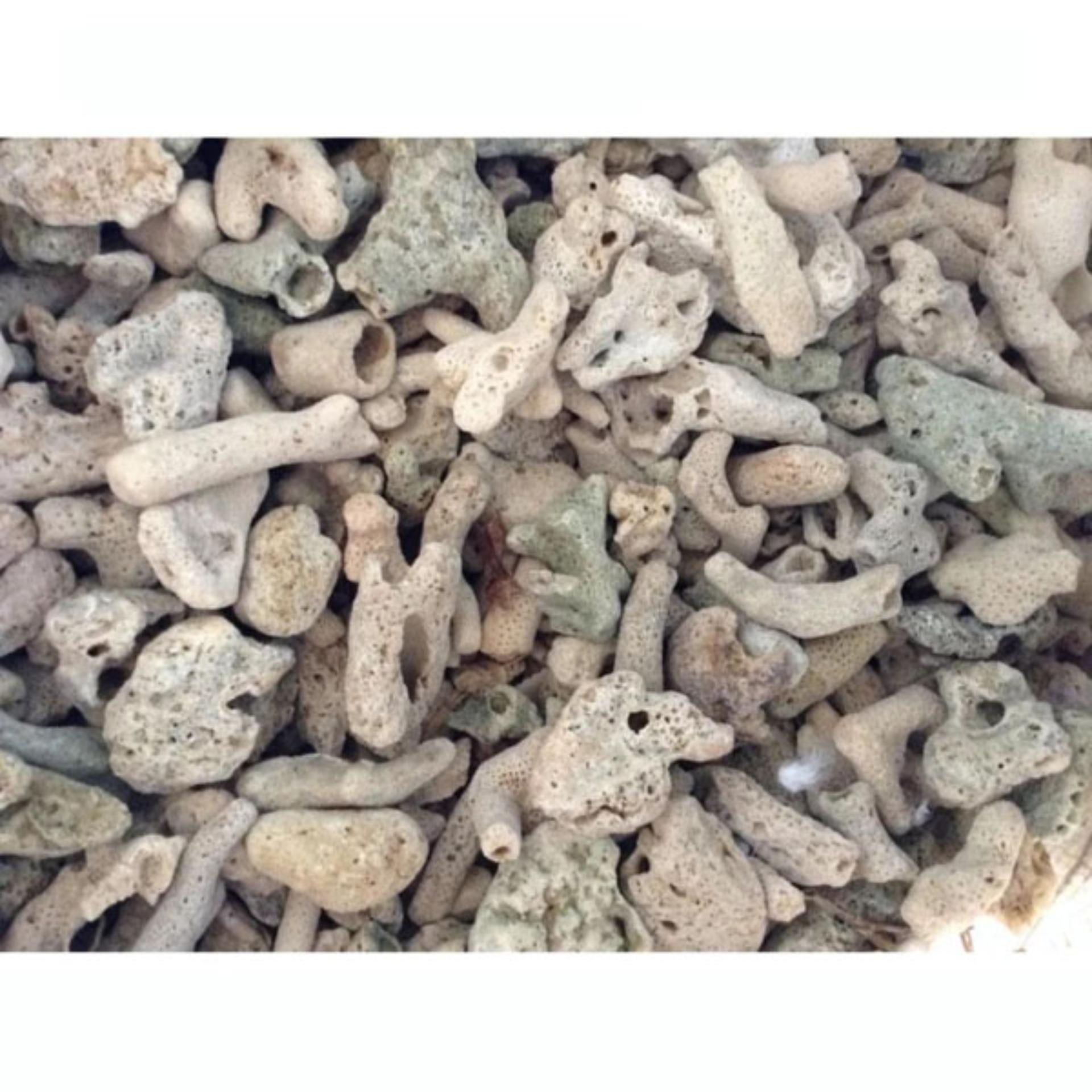San hô vật liệu lọc, trang trí bể cá, hồ thủy sinh (túi 200gr)