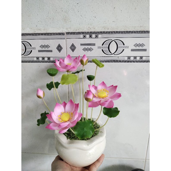 Chậu sen đất sét size nhỏ