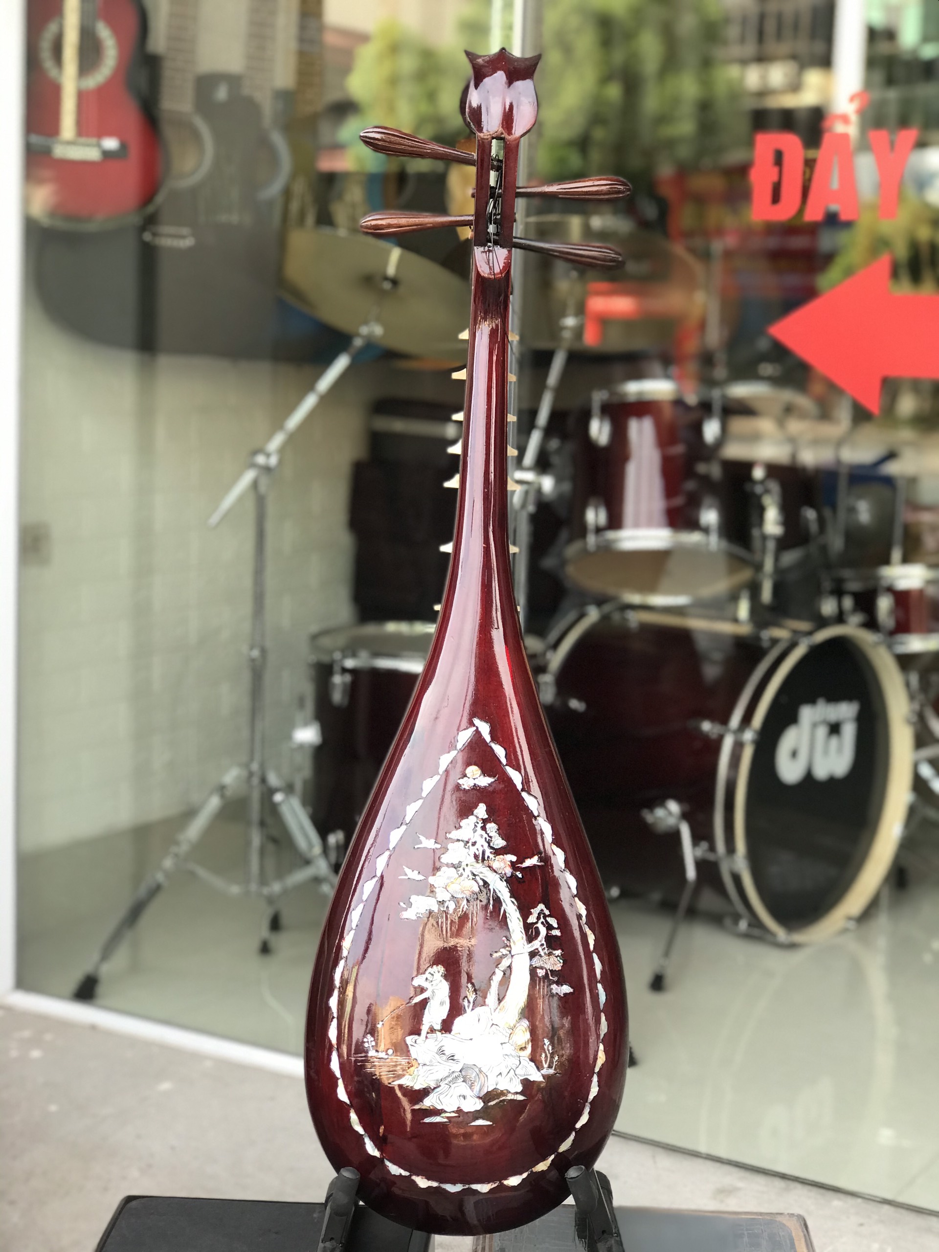 Đàn tỳ bà Việt Nam