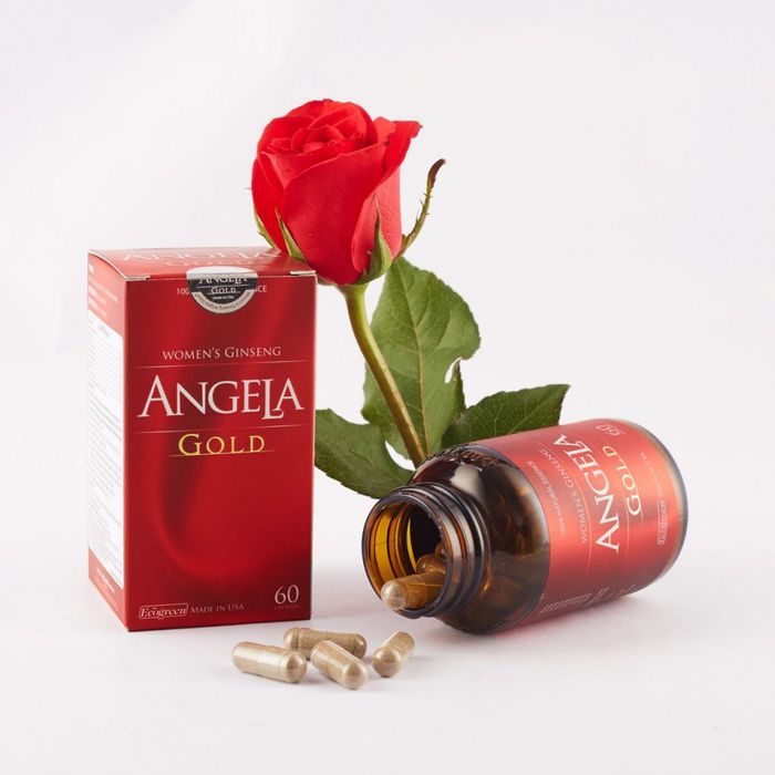 SÂM ANGELA GOLD, HỘP 60 VIÊN