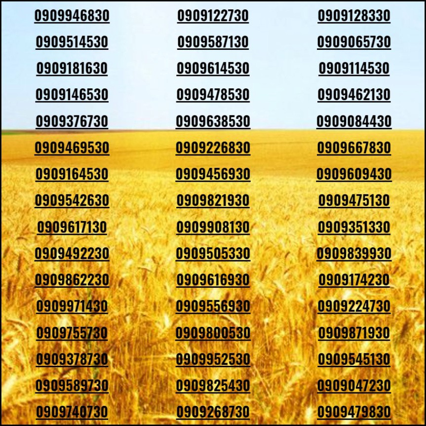 [HCM]Sim đẹp Số tiến