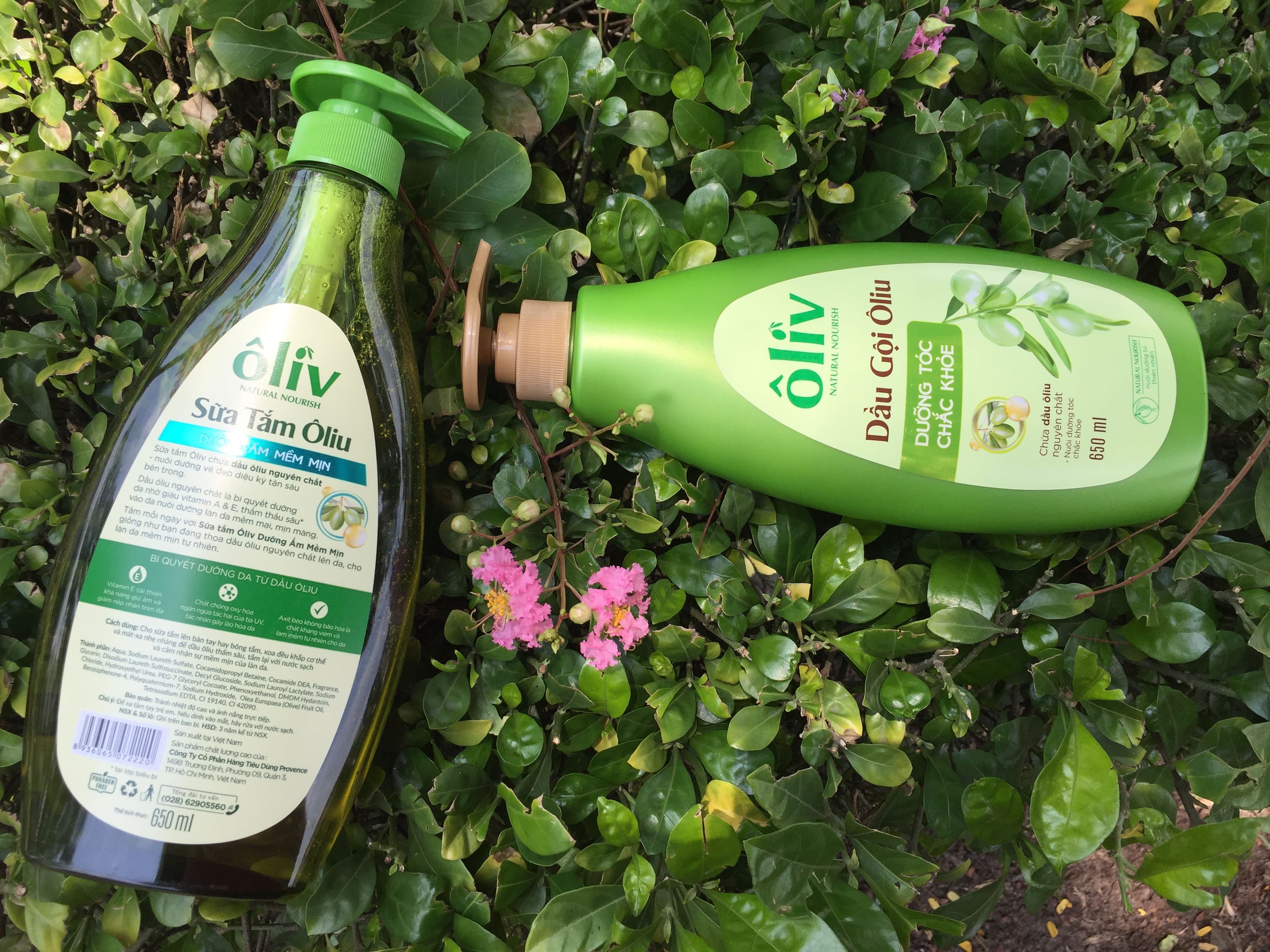 Combo dầu gội + sữa tắm tinh chất olive 650 ml