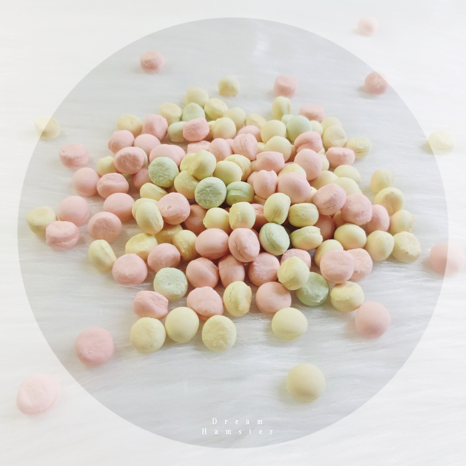 Bánh bột sữa cho hamster (50gr)