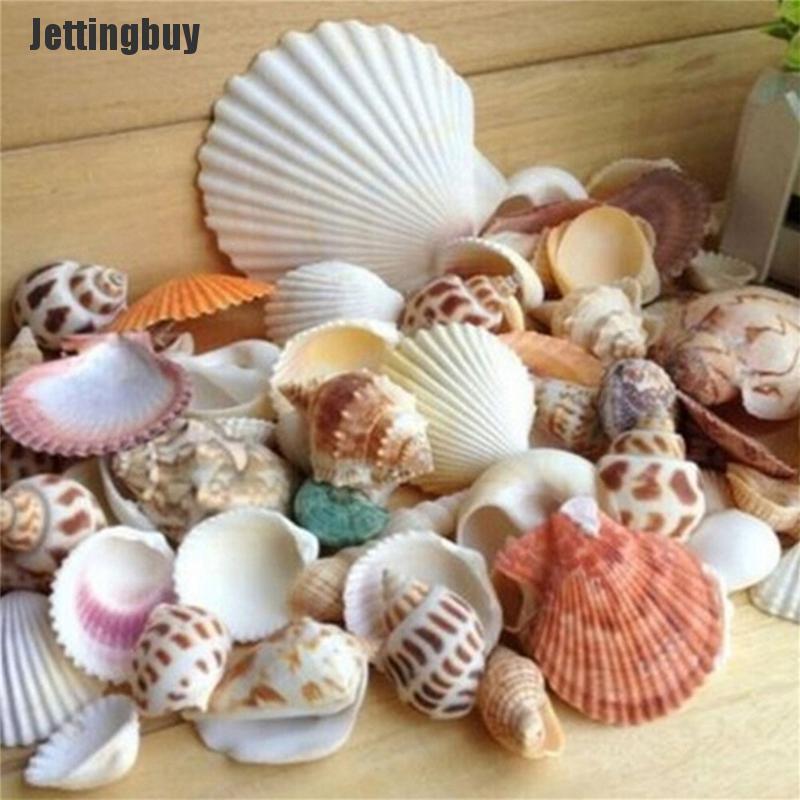 100g Beach Mixed SeaShells Sea Shells Shell Craft SeaShells Aquarium Decor Random