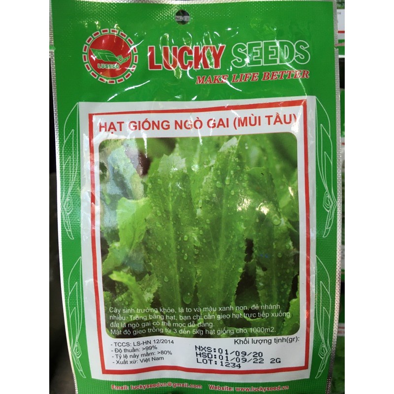 Hạt giống mùi tầu - ngò gai