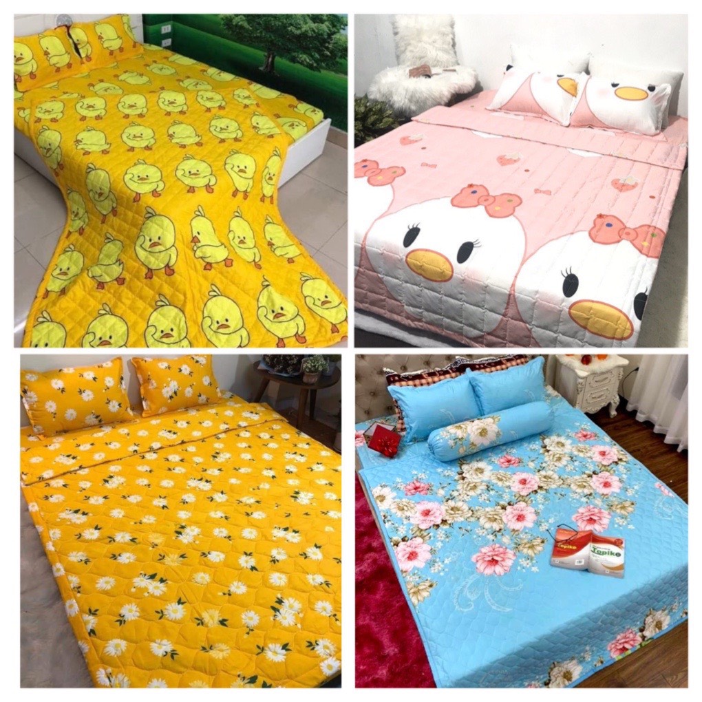 Chăn Hè Thu Trần Bông Hàn Quốc Cotton Poly Nhiều Màu Chọn Lựa