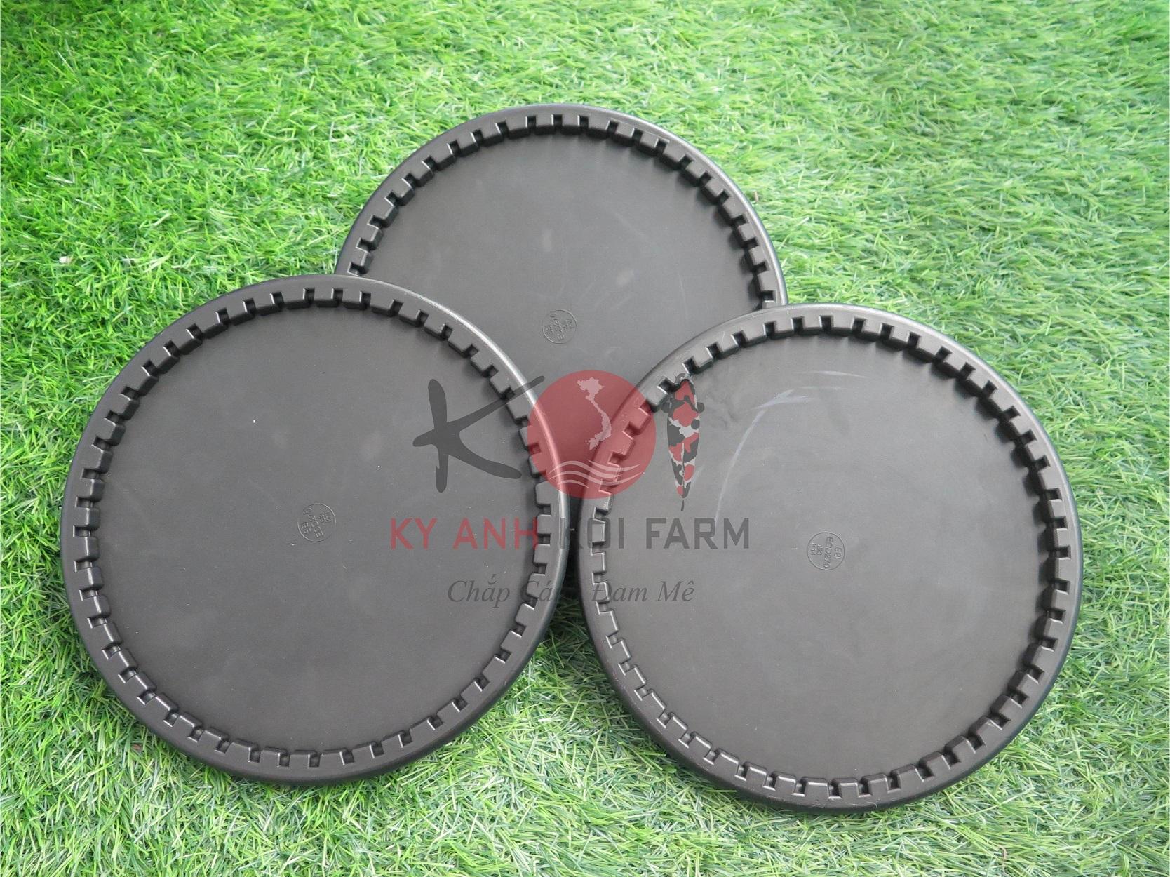 Đĩa thổi khí made in USA