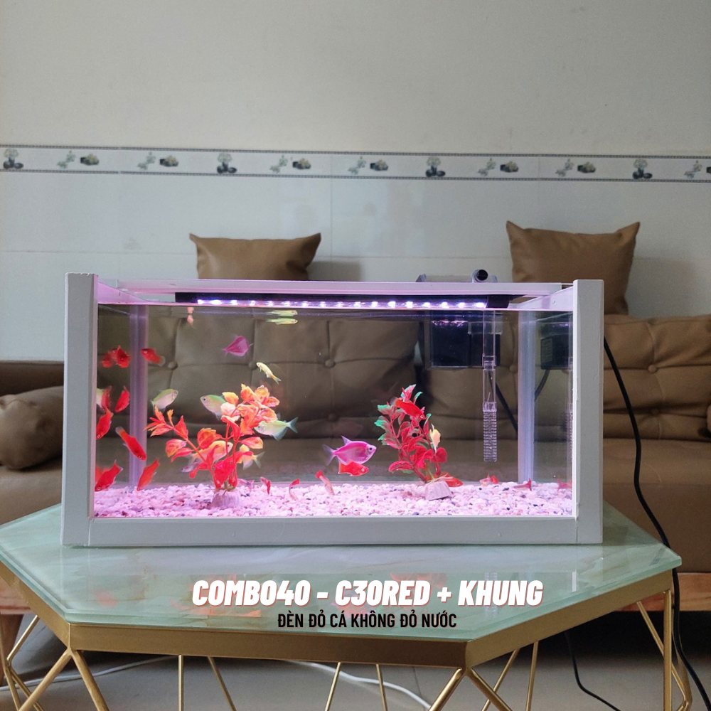 Bể cá mini 40cm COMBO đầy đủ phụ kiện