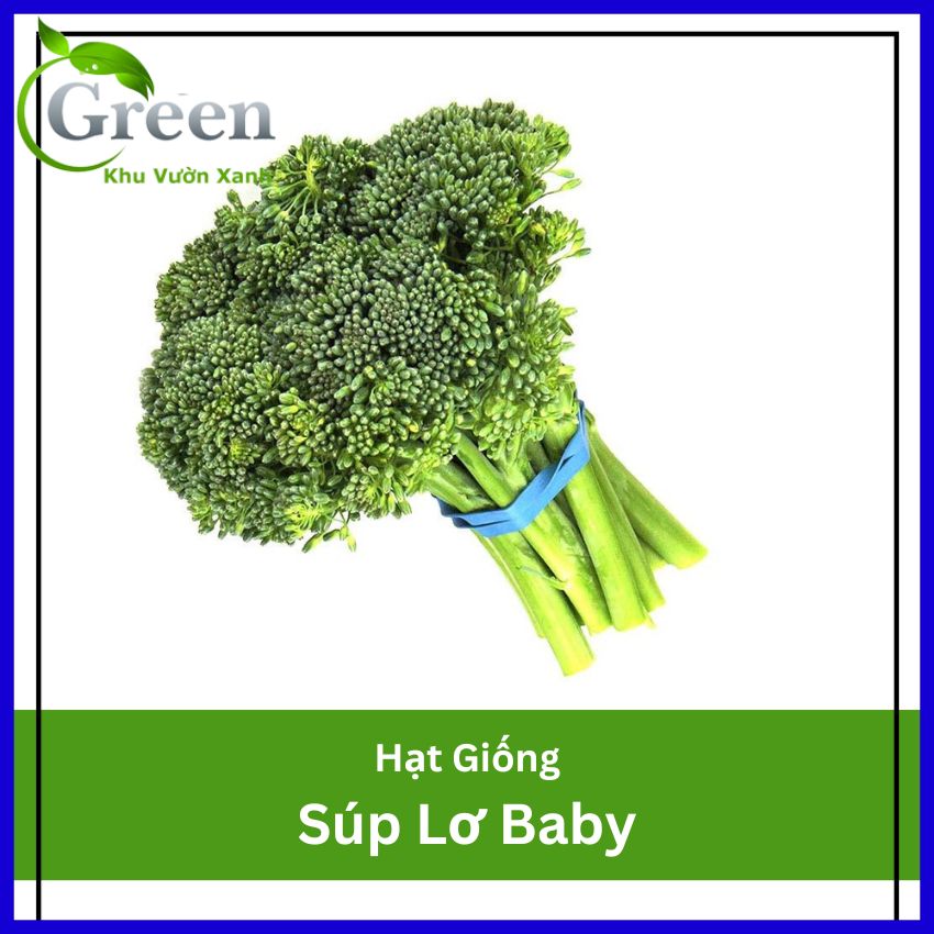 Hạt Giống Súp Lơ Baby