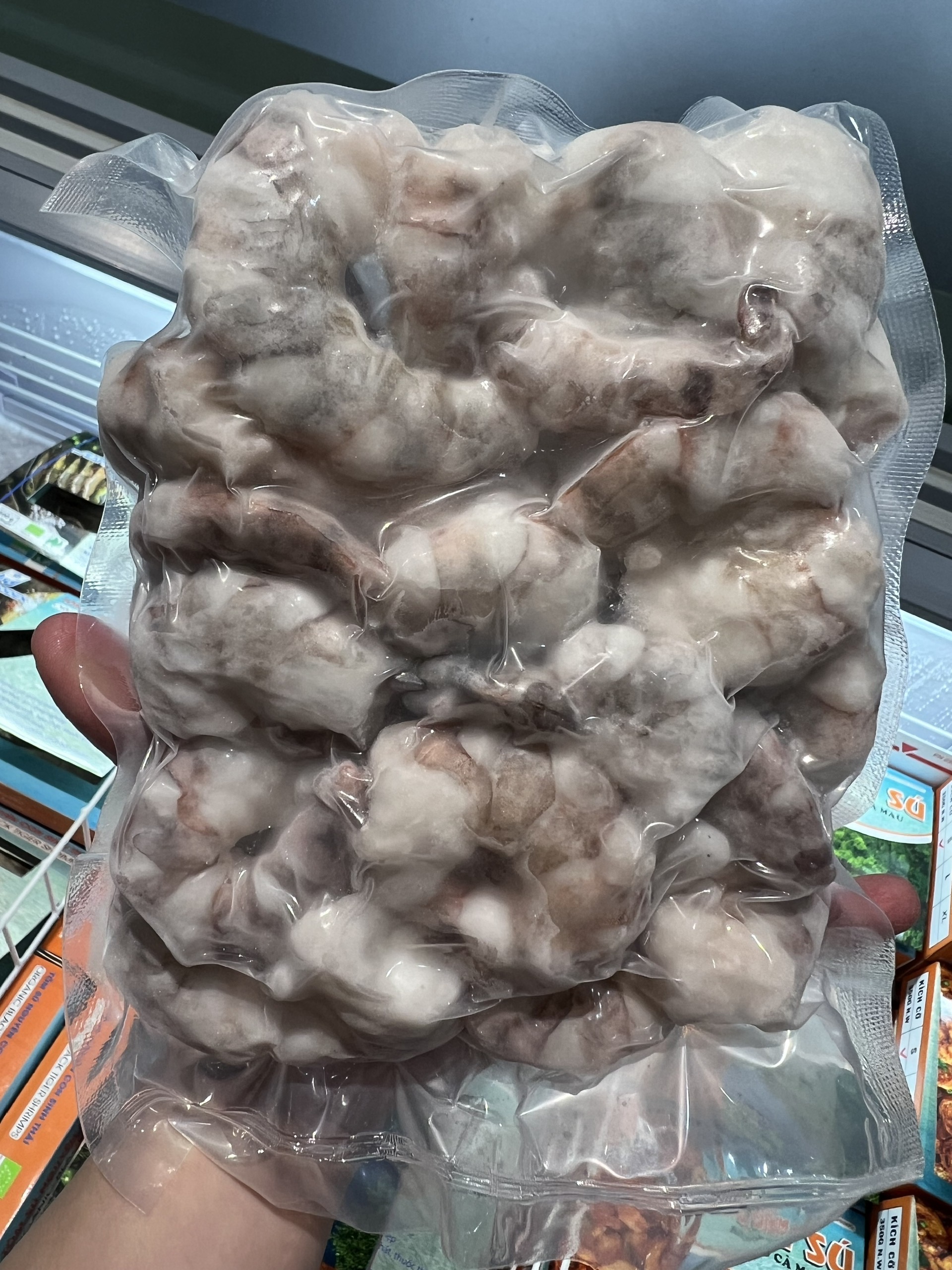 TÔM SÚ RỪNG CÀ MAU SEAPRODEX, KÍCH CỠ: L