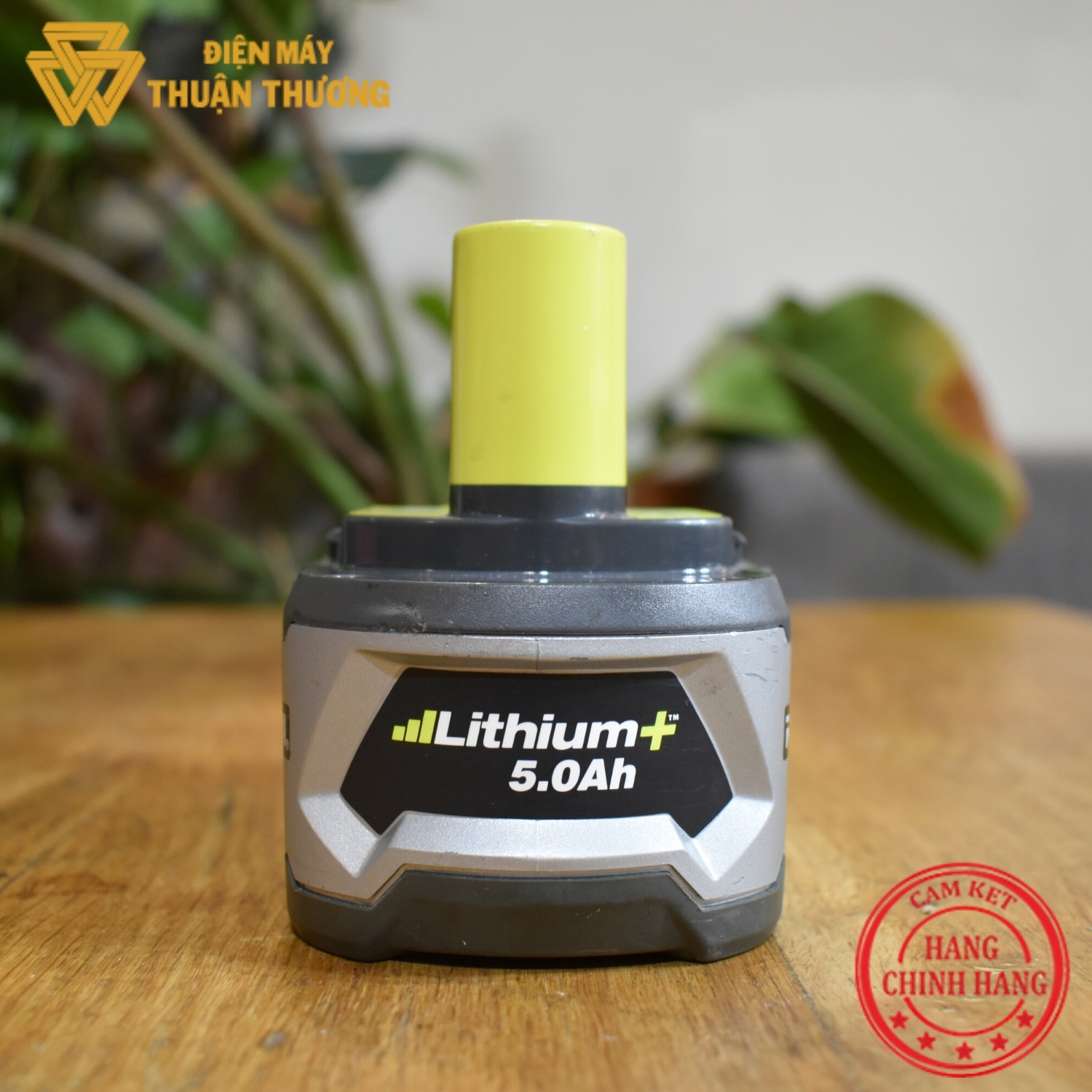 [HCM]Pin Lithium 18V 5.0Ah Ryobi RB18L50