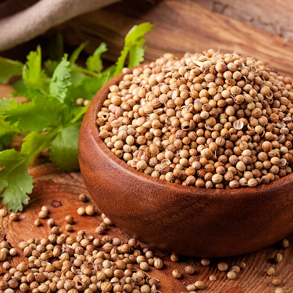 Coriander Seeds - Hạt rau Mùi Dhaniye k beej (100g - 500g)