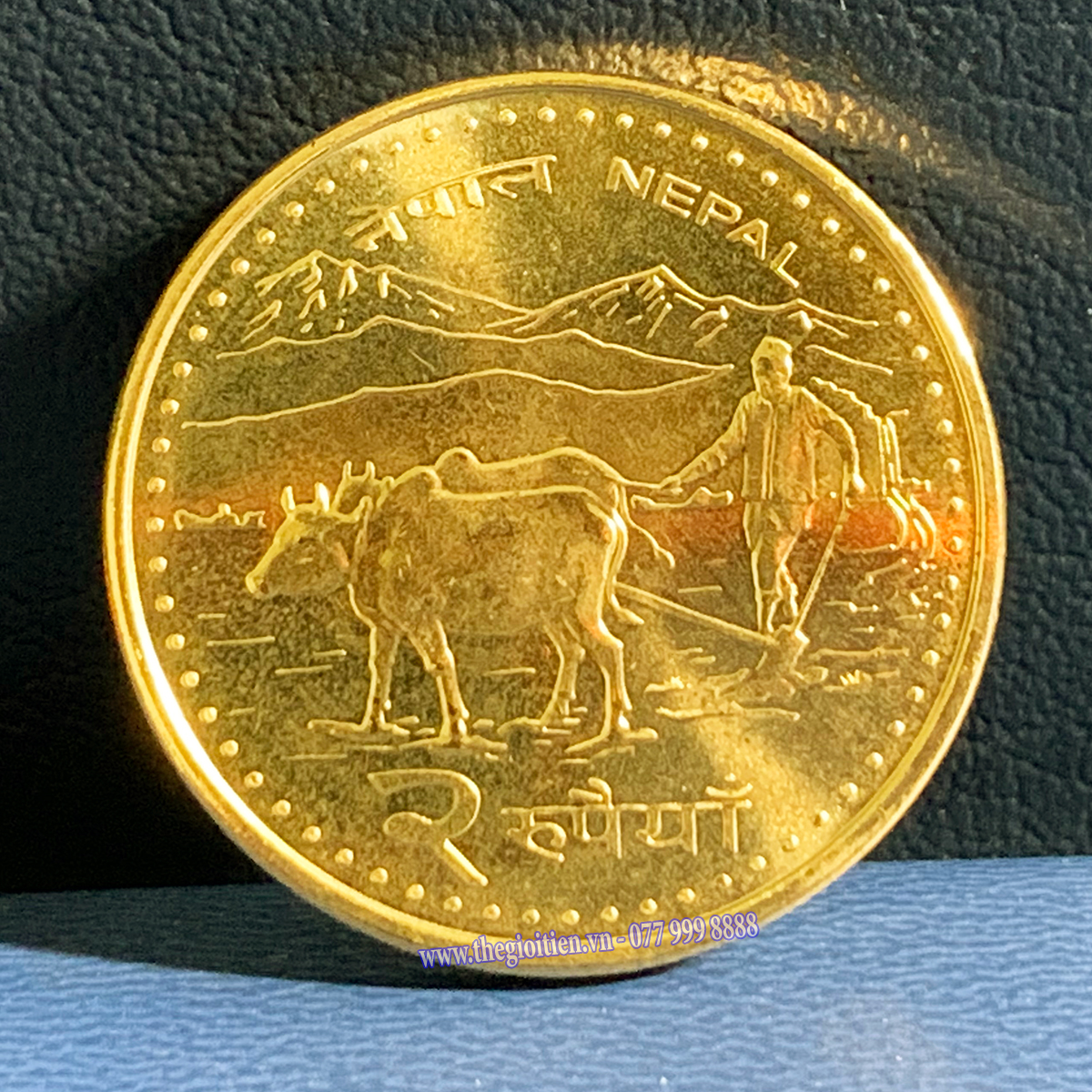 [Quà Tết ] Đồng Xu Hình Con Trâu Nepal ( Gồm Túi Đỏ )