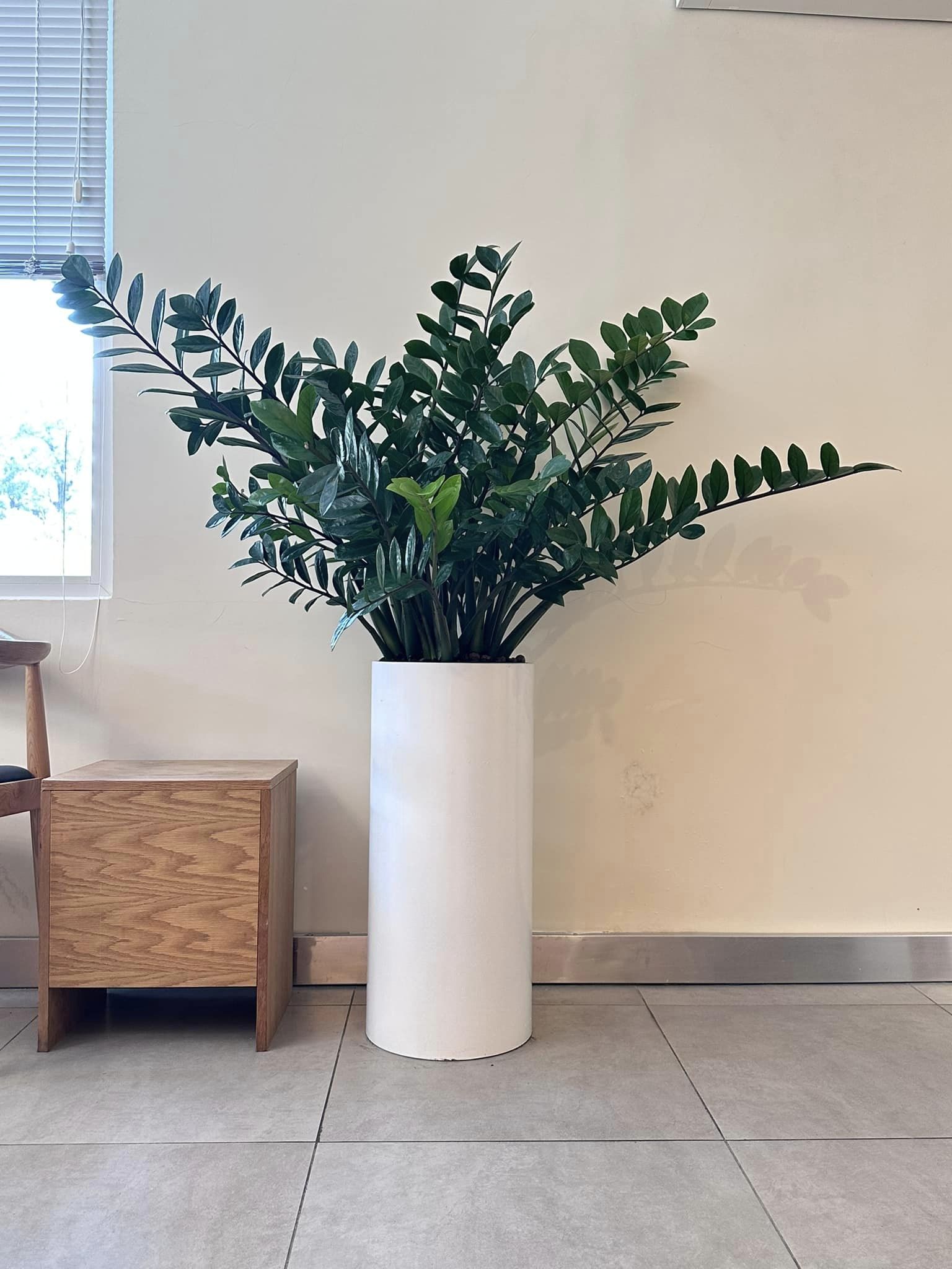Chậu composite trụ tròn 30x70 HomeViet