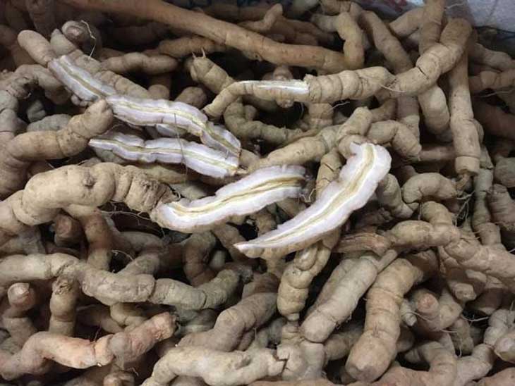 Ba kích tím khô quảng ninh loại 1