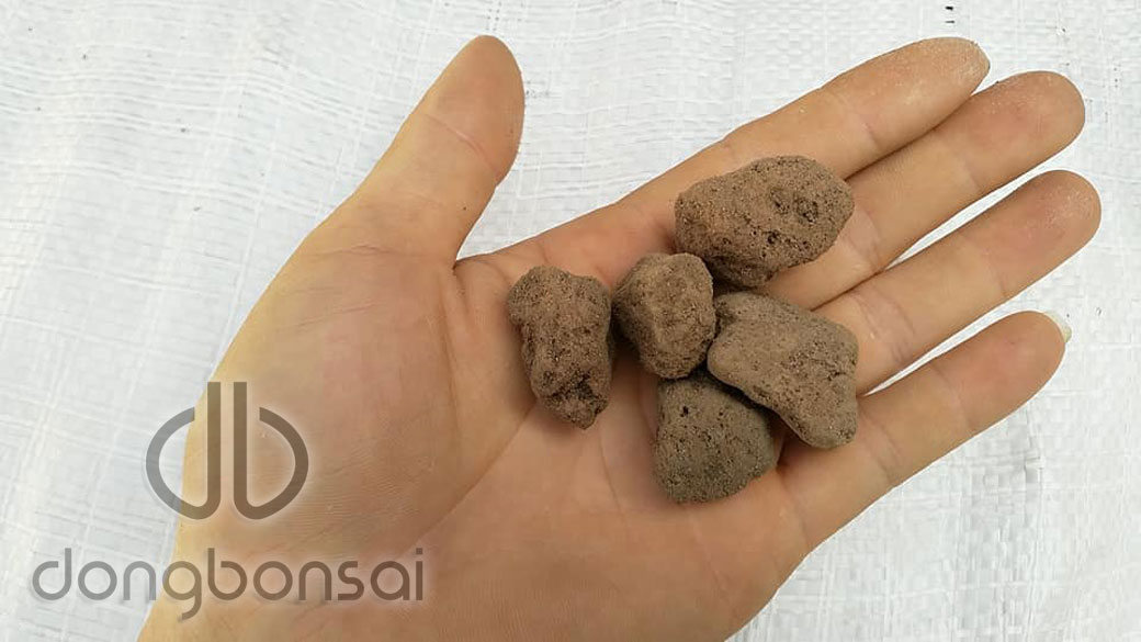 Combo 5lit Đá Pumice (đá bọt núi lửa) Indonesia