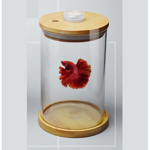 Bể cá chọi Bể cá mini để bàn Betta-01