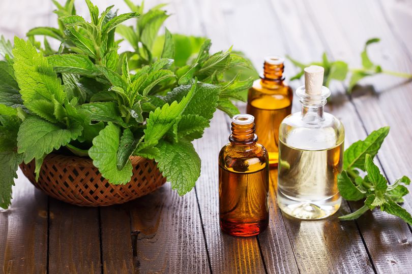 Tinh dầu bạc hà 30ml