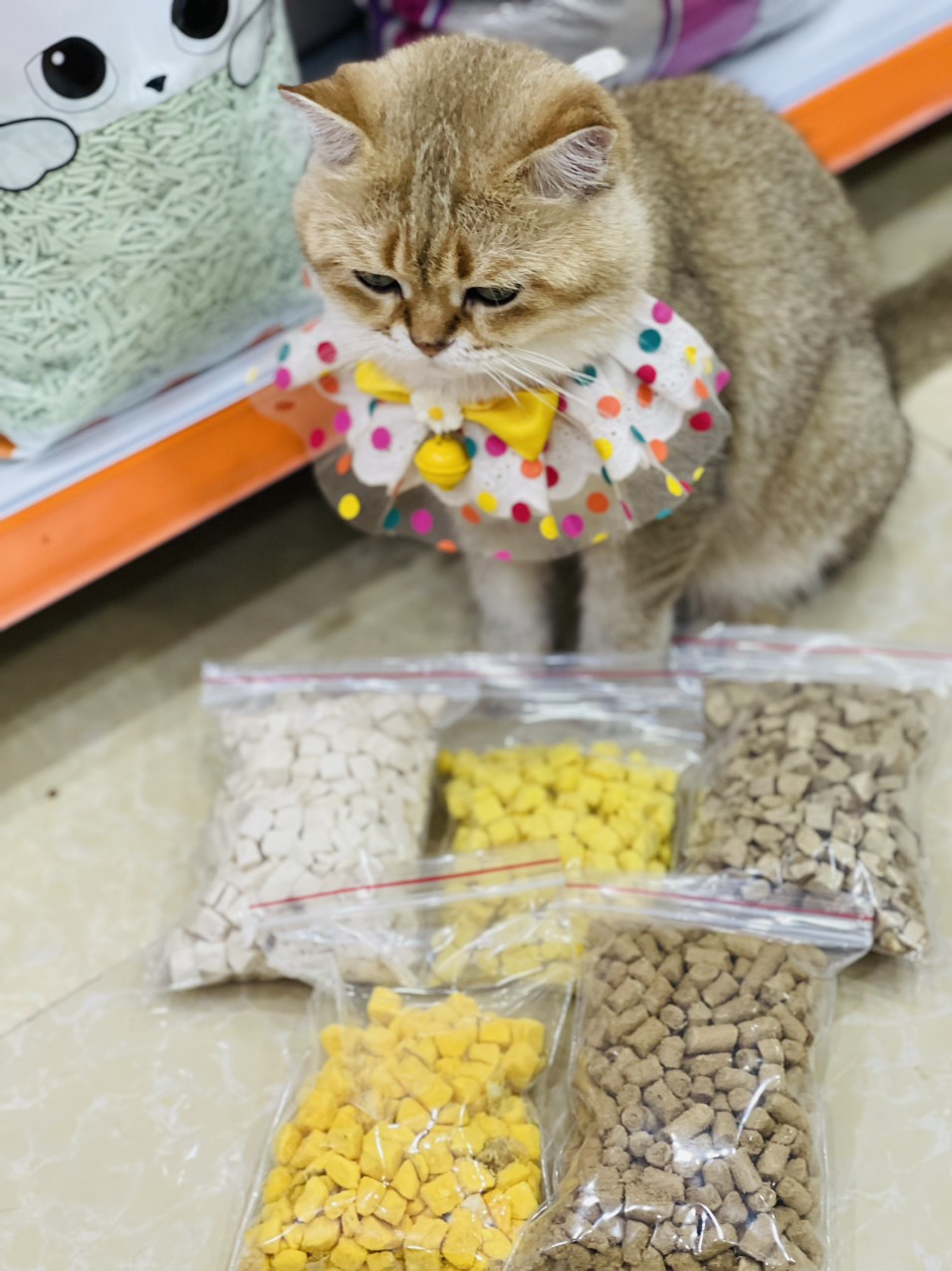 thịt sấy khô cho thú cưng