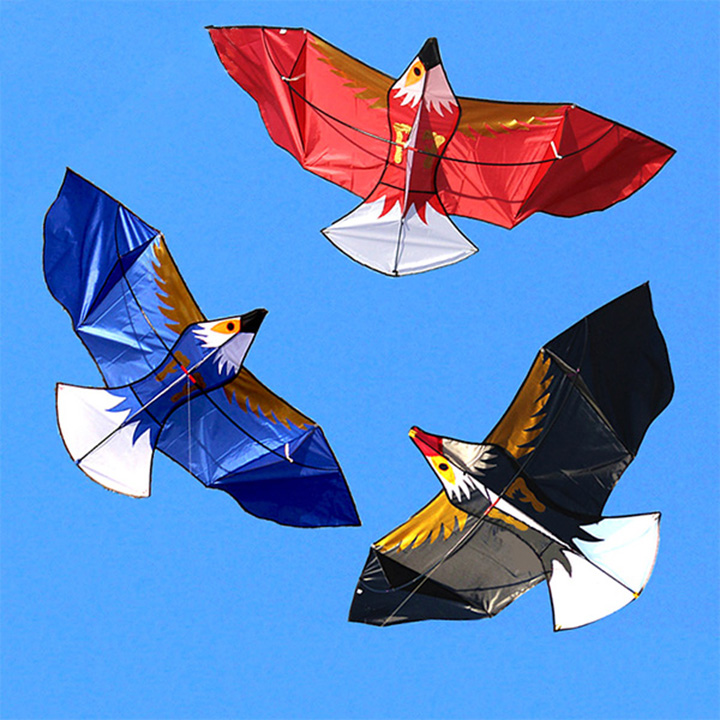 DIỀU CHIM ĐẠI BÀNG