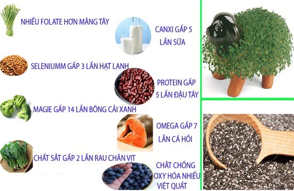 500gram Hạt Chia Đen Úc SEEDS BLACK BAG ( chuẩn hãng 100% )