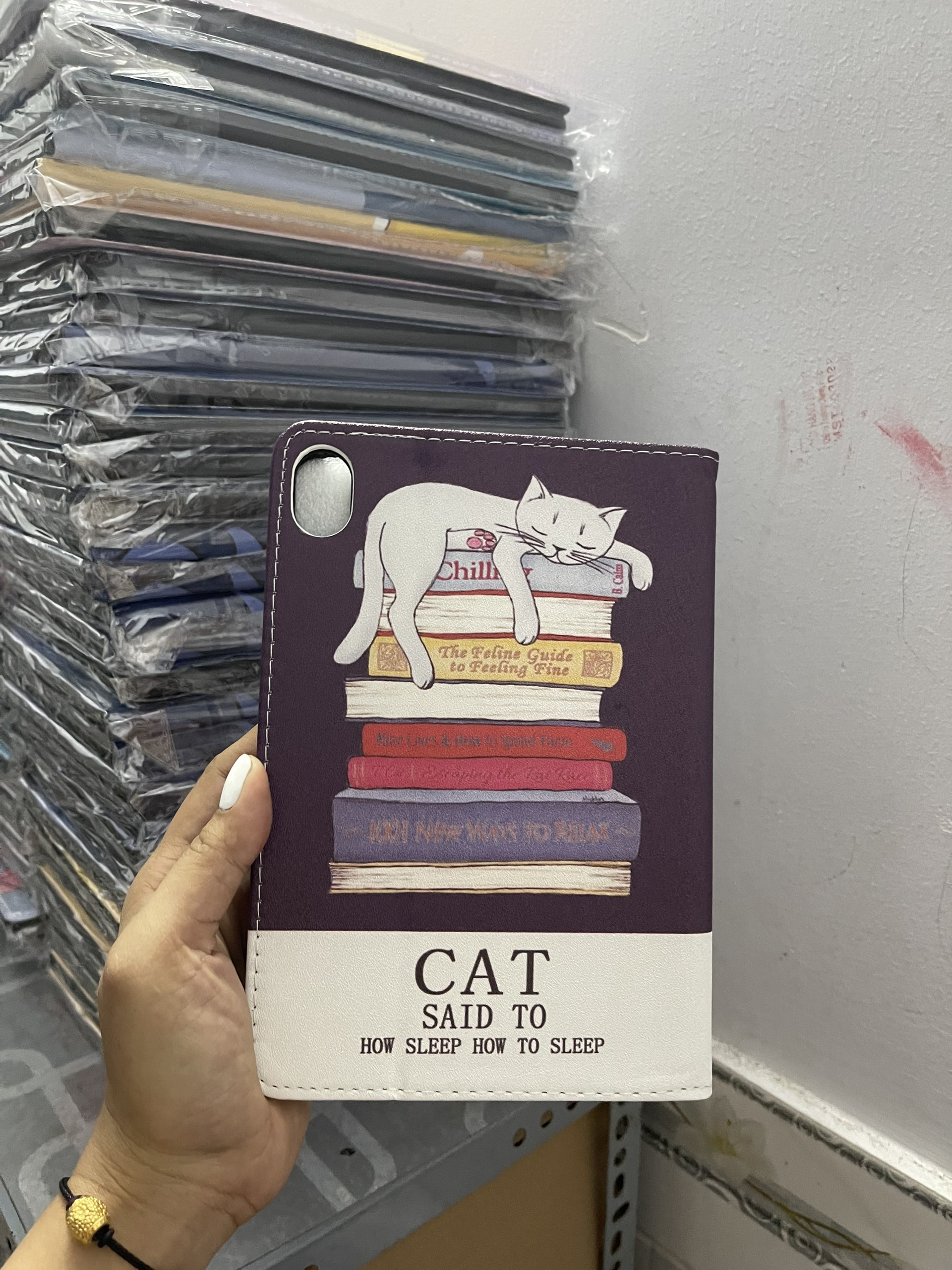 Bao da ipad mini 6 hoạt hình