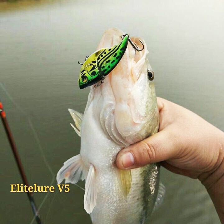Mồi câu lure V5, mồi câu cá Thái Lan, siêu nhạy.