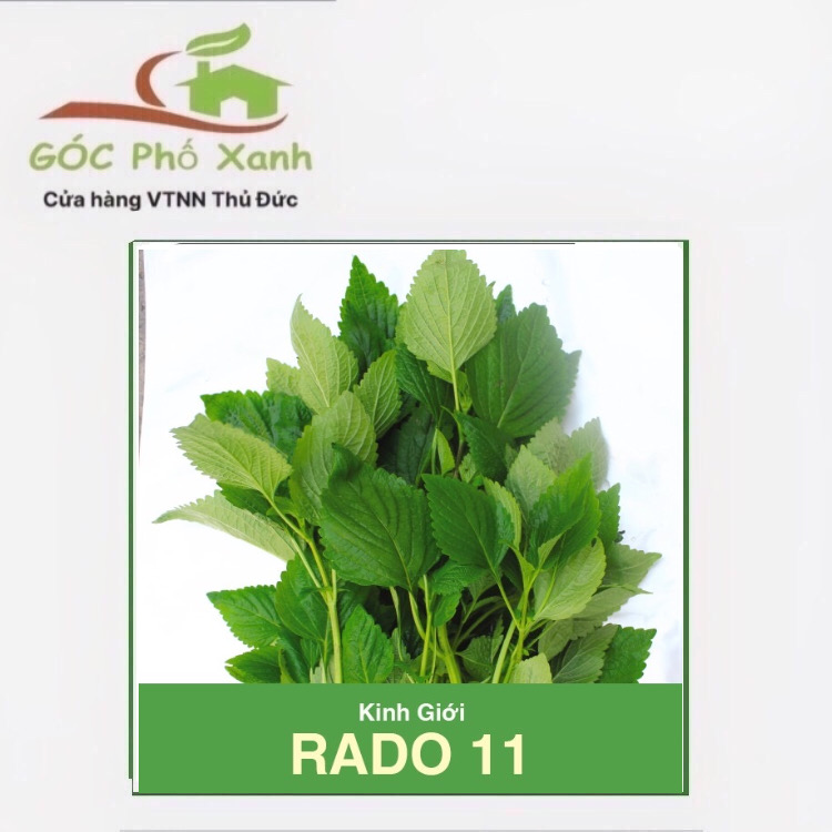 Hạt giống rau kinh giới rado 1g
