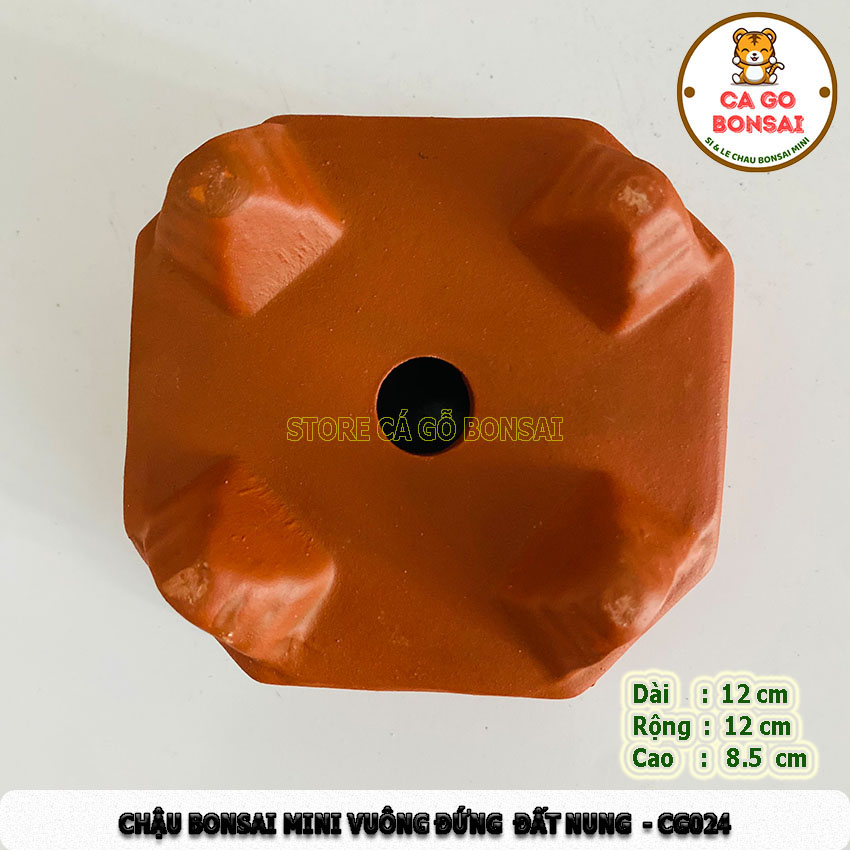 Chậu Mini Vuông Đứng Đất Nung - CG24