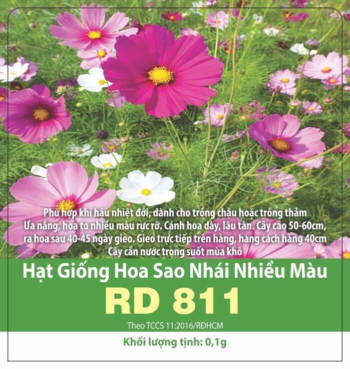 Hoa sao nhái nhiều màu
