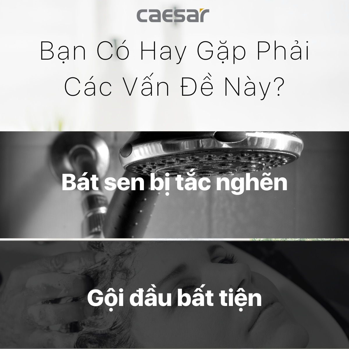 Tay Sen 1 Chức Năng CAESAR SH212