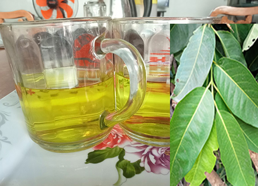 Green Leaves - Fresh Green Leaf Tea
