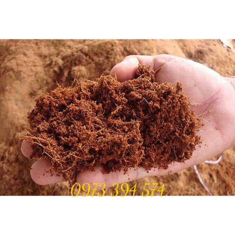 Xơ dừa, mùn dừa trồng cây