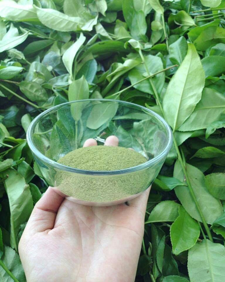 100 gram bột trà xanh nguyên chất 100%