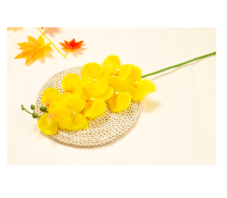 Cành lan hồ điệp giả cao cấp - 1 cành - 9 bông - dài 100cm - Cây giả, hoa lụa Decor trang trí nhà cửa