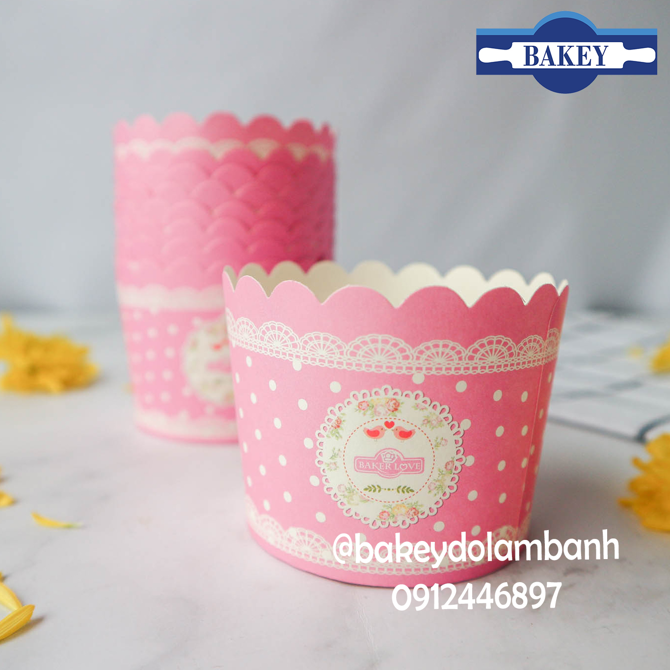 Cup giấy cứng làm cupcake set 48-50 chiếc 6x5cm