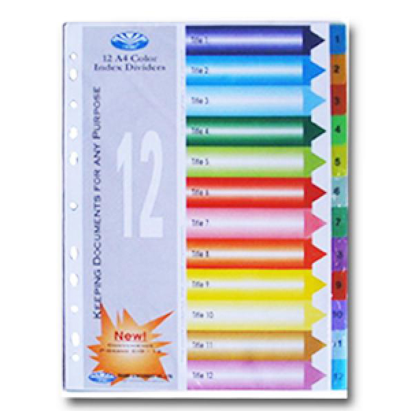 BÌA PHÂN TRANG NHỰA 12 SỐ