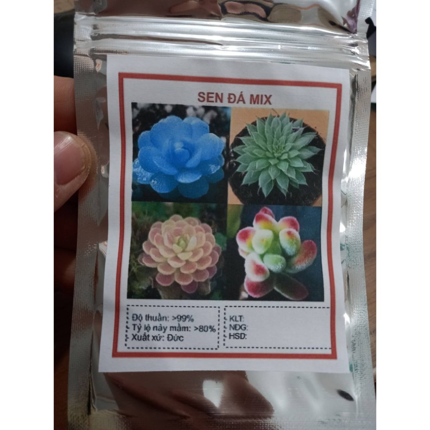MA179 Gói 20 hạt giống sen đá mix màu