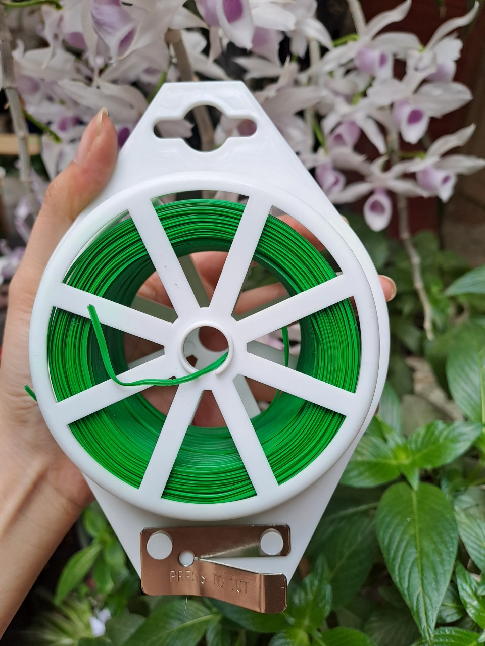 Cuộn dây CỐ ĐỊNH LAN VÀ CÂY CẢNH 100m cắt sẵn