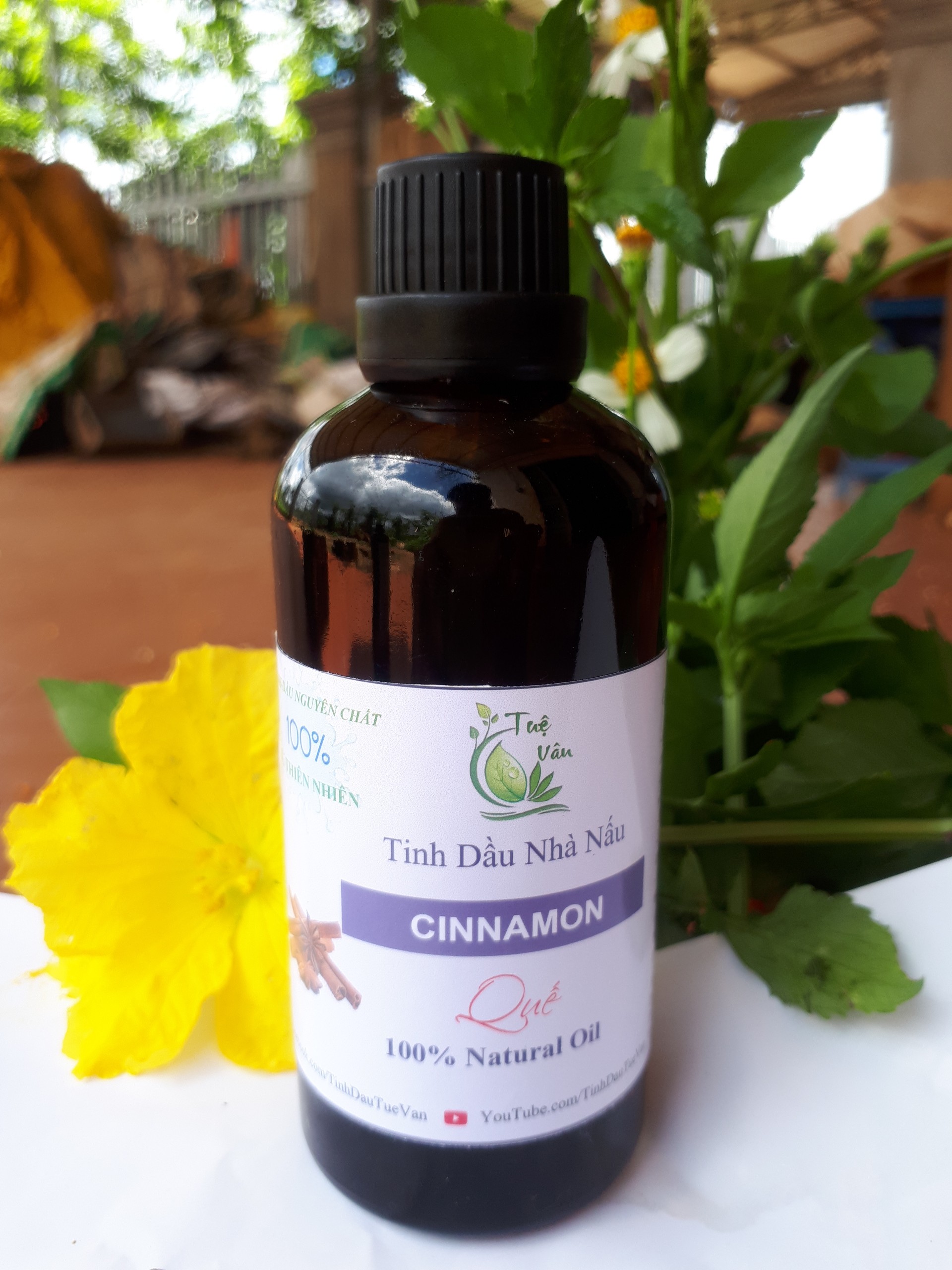 Tinh dầu Quế nguyên chất đậm đặc Tuệ Vân