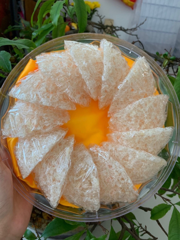 TỔ YẾN TINH CHẾ XƠ MƯỚP (SỢI NGẮN) – 100G