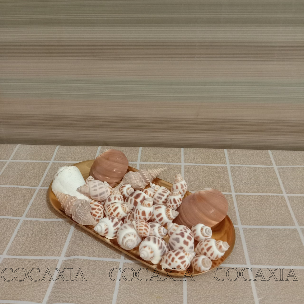 Handmade decorative sea shell, Gravel