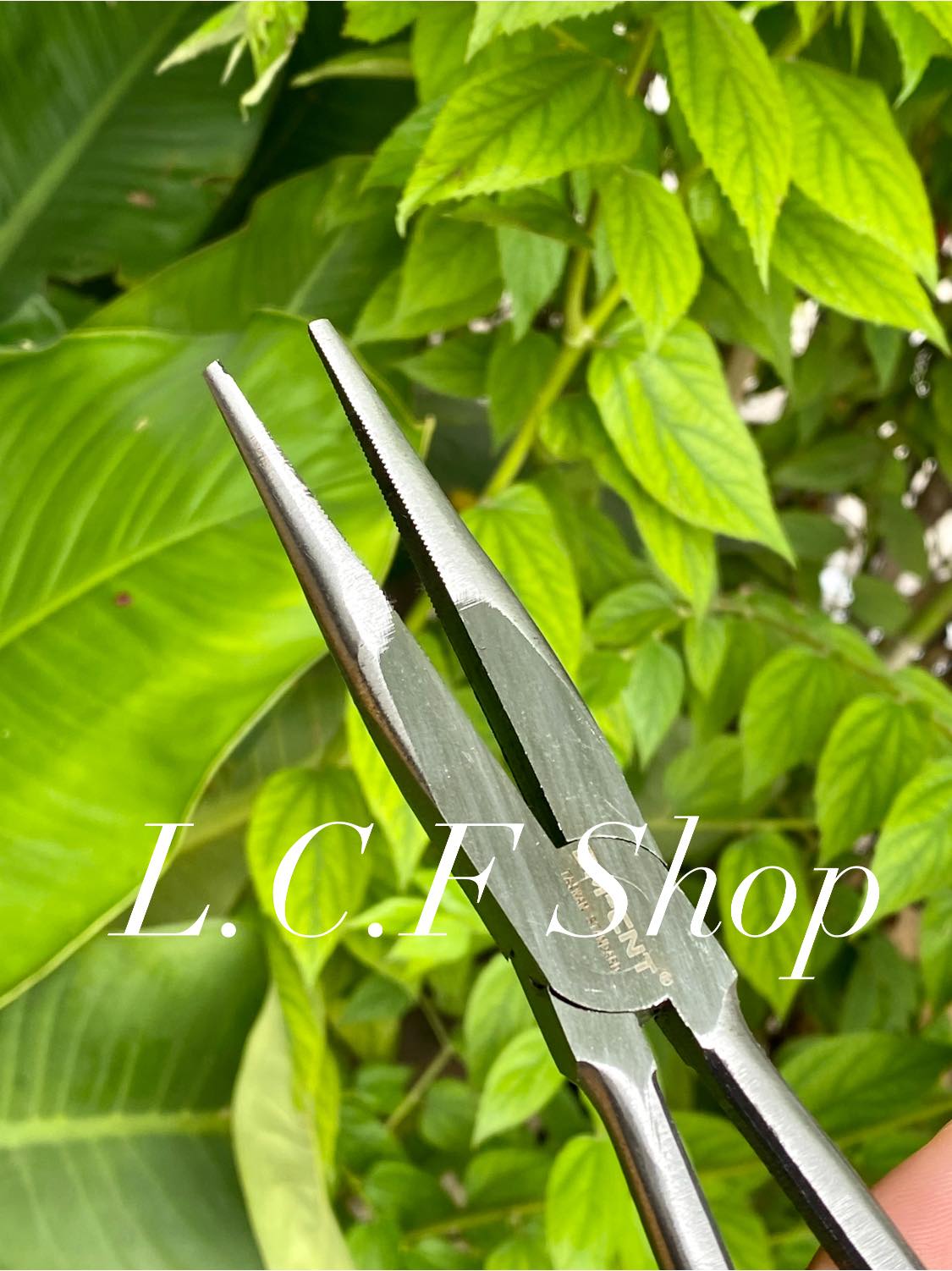 [HCM]KIỀM GẮP CÁ GỞ LƯỠI CÂU CÁ DÀI 30CM