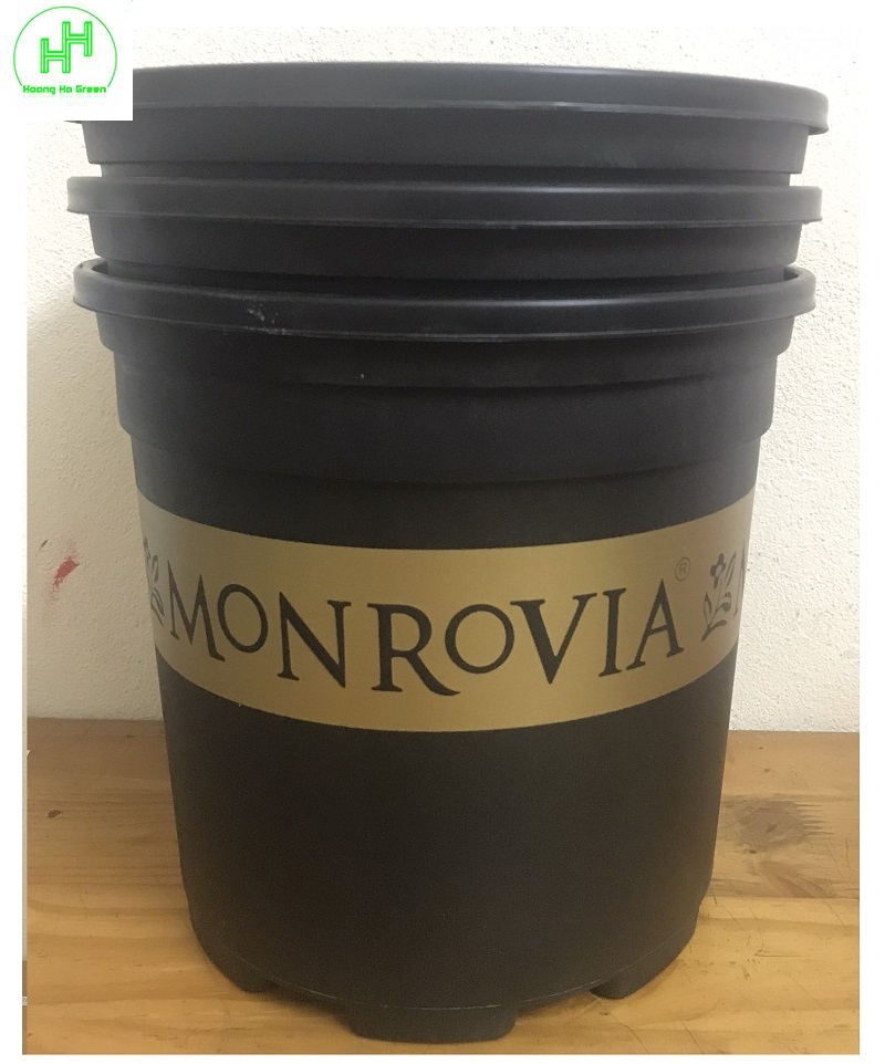 3 Chậu MONROVIA CH Garden 2Gal