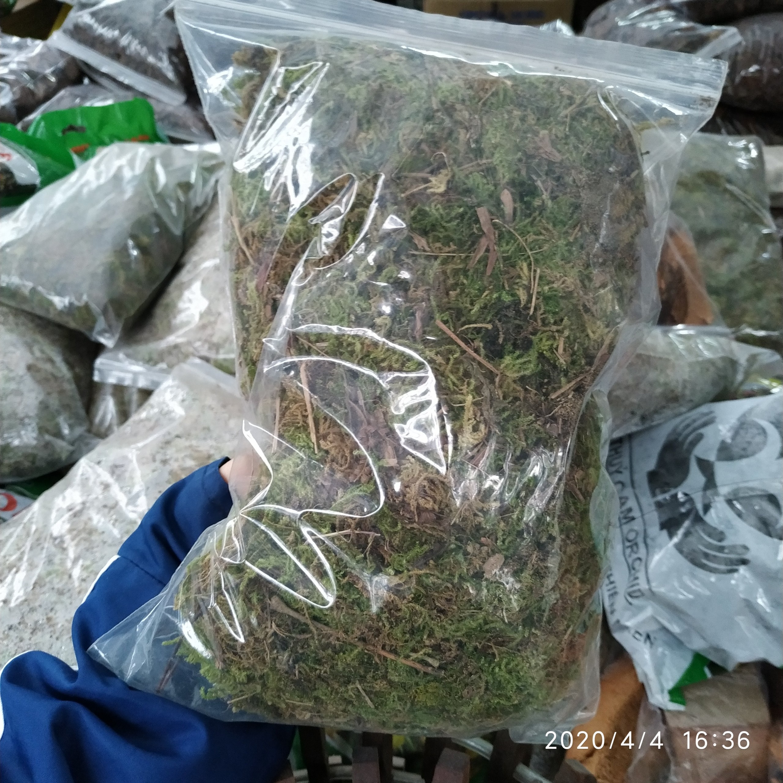 1 gói rêu rừng 200g giữ ẩm cho lan