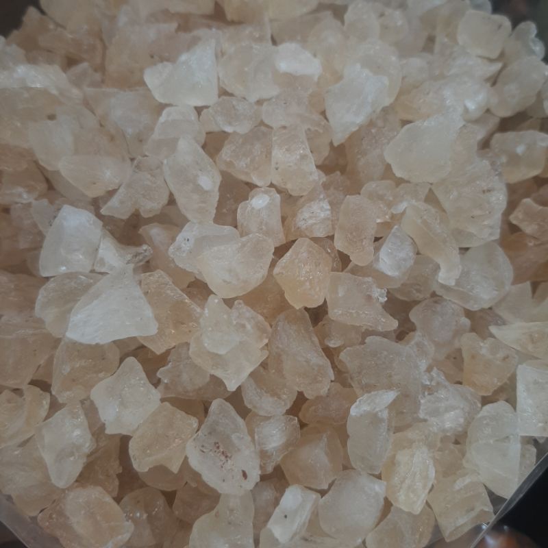 1 Kg Mủ Trôm Dạng Viên Ninh Thuận Cục To Loại Ngon
