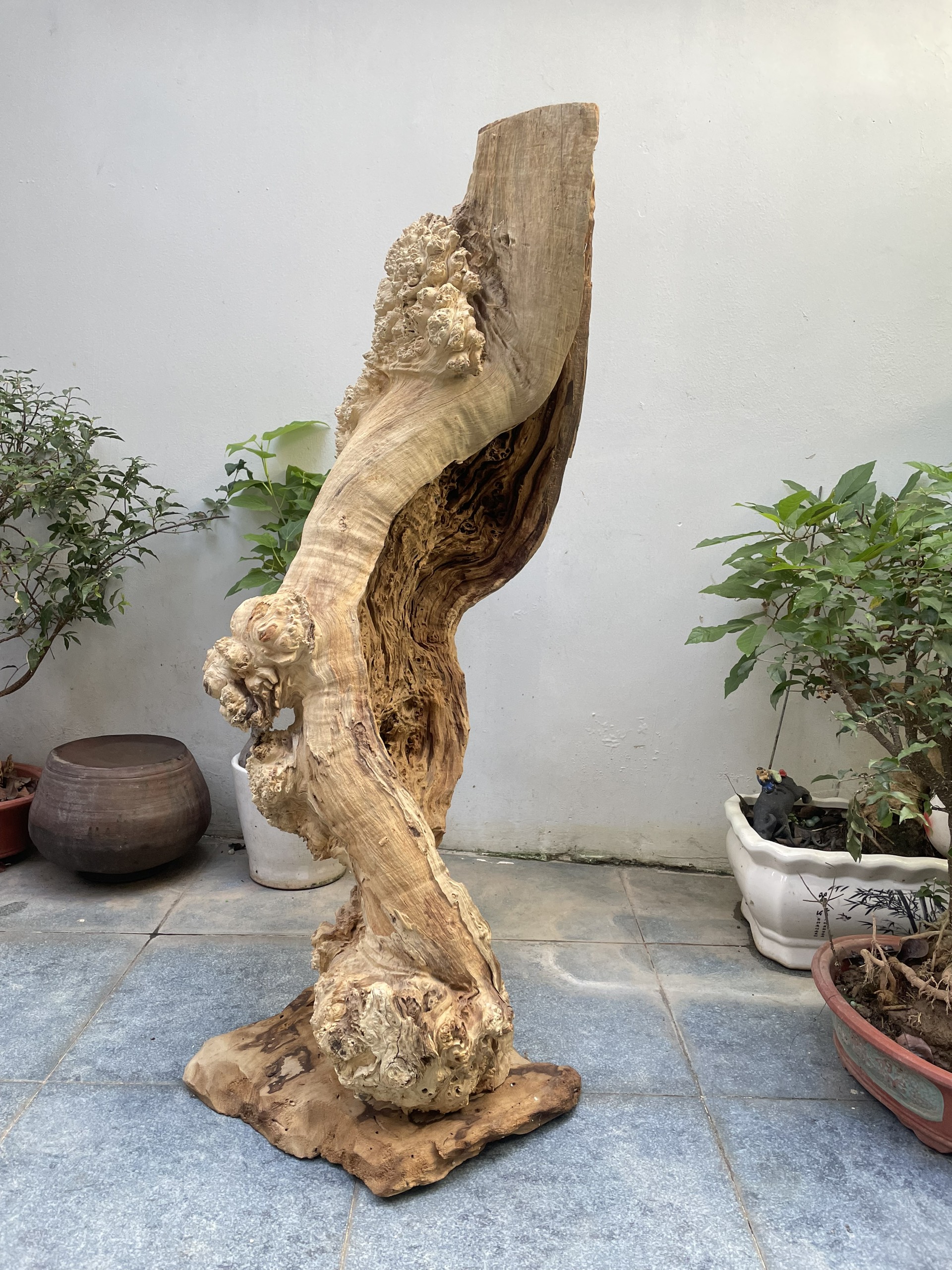Lũa Nu Nghiến