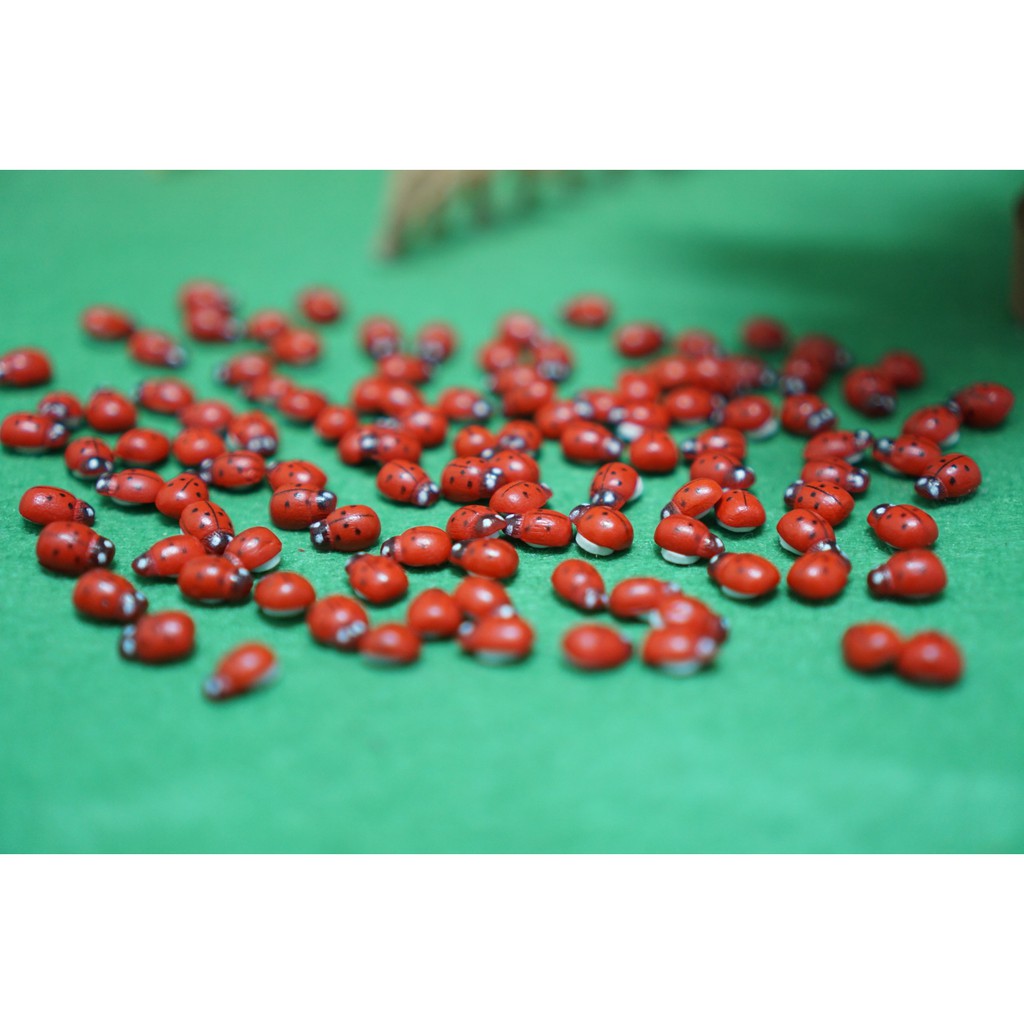 [HCM]Mô Hình Bọ Dừa Ladybug Trang Trí Tiểu Cảnh Miniature [1 cái ]