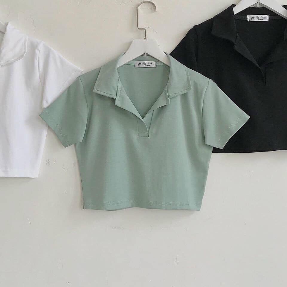 Áo croptop dáng ôm thời trang ulzzang. Áo thun cổ bẻ ngắn tay co giãn thấm hút mùa hè phối đồ đẹp. Áo thun nữ một màu . Áo phông nữ dáng ngăn. Áo kiểu nữ . Kho sỉ