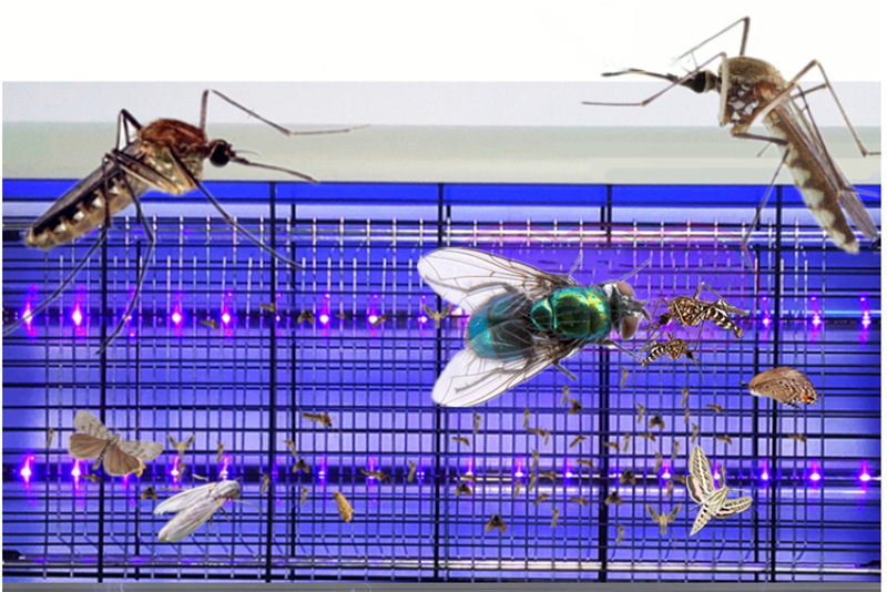 Đèn bắt muỗi Kill Pest